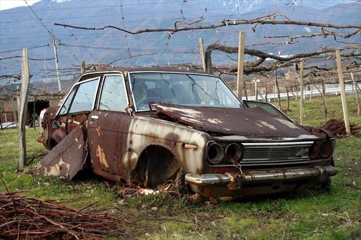 Datsun 510 (1600 sss) billede 5