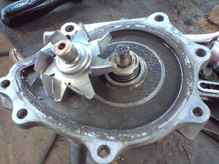 Forkert kølervæske = død motor!! - Her er grunden til motorhaveriet. Rusten på akslen, har presset skovlhjulet af, dvs. kølingen har været minimal. billede 9