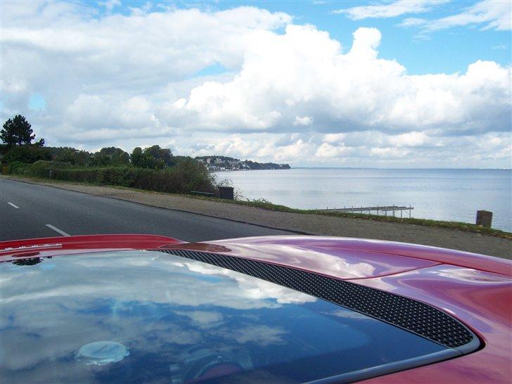 Ferrari Kælderen ! - Hjem ad Standvejen i F360 Spider
Tak til Damgaard Nielsen for en FED DAG billede 11