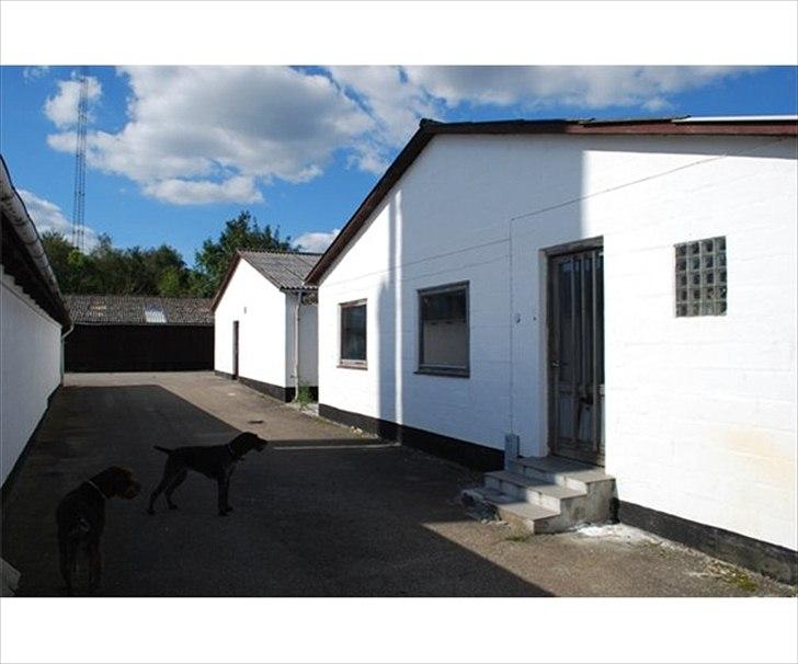 Lager i Vejle / Tørring - Gammelt udvendigt billede, 2 af montagehallerne. ( Nu med ny hoveddør )...Samt 2 vagthunde.. billede 12