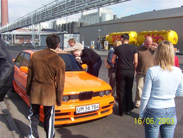 Jolly reklame billede 34