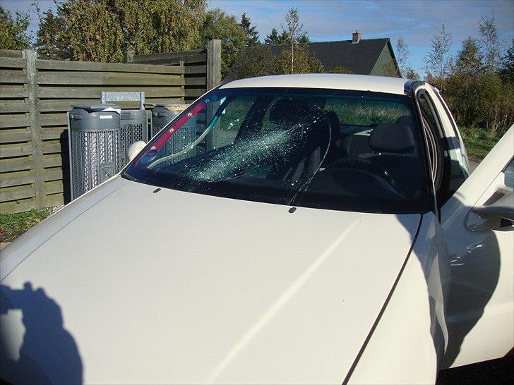 Misundelse er en grim ting  billede 2