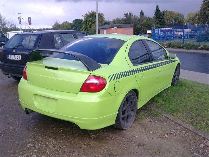 Fed øse - men hvilken er det ? billede 4