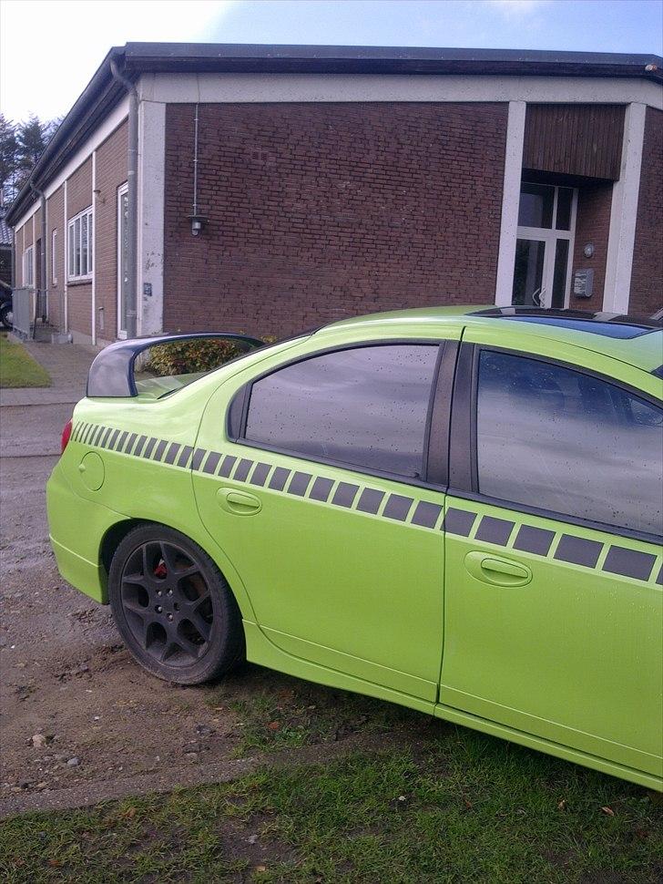 Fed øse - men hvilken er det ? billede 6