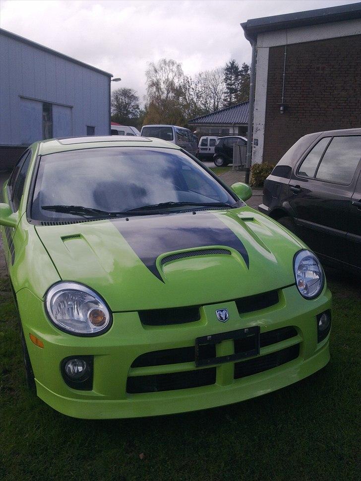 Fed øse - men hvilken er det ? billede 1