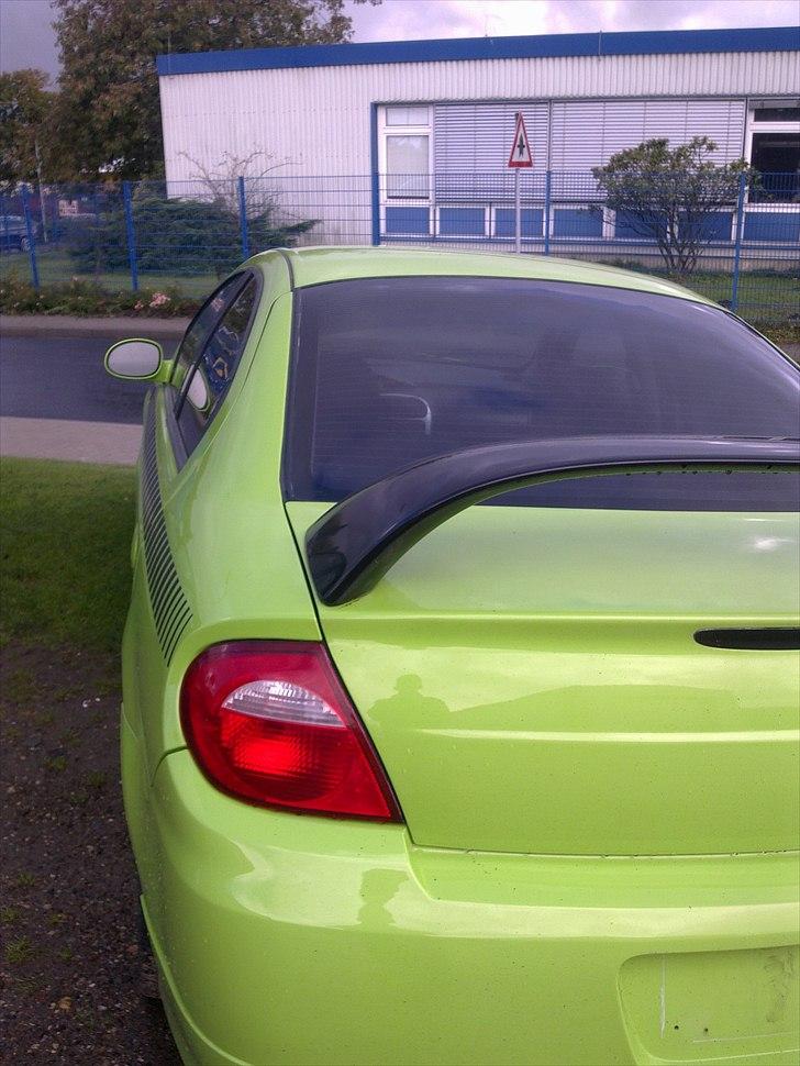 Fed øse - men hvilken er det ? billede 7