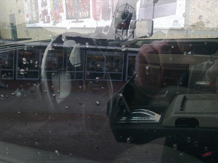 Fed øse - men hvilken er det ? billede 9