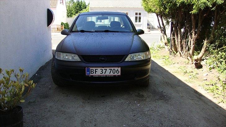 Mine bedste biler vectra b turbo billede 18