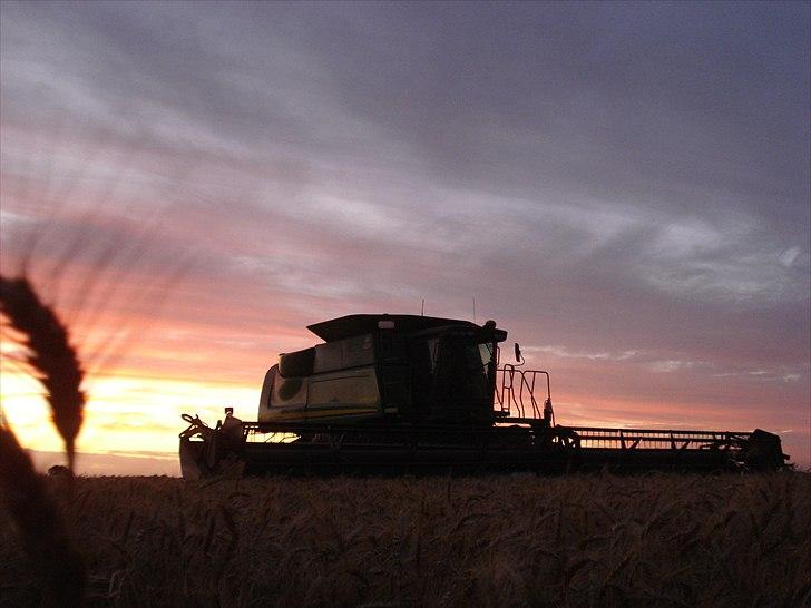 Høst i West Australien 2010..:) billede 5