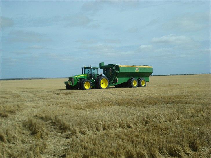 Høst i West Australien 2010..:) billede 8