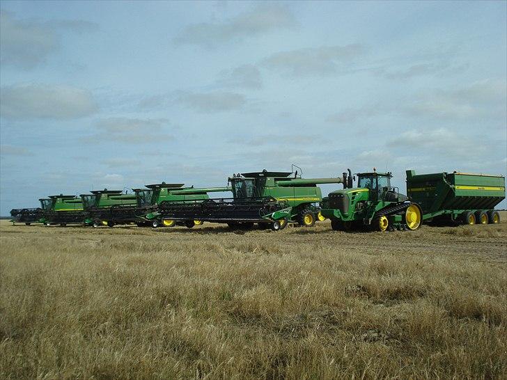 Høst i West Australien 2010..:) billede 9