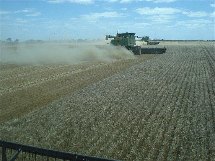 Høst i West Australien 2010..:) billede 10