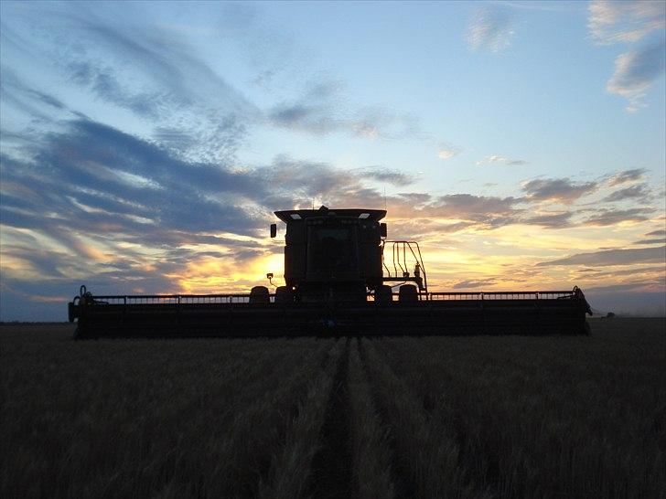 Høst i West Australien 2010..:) billede 11