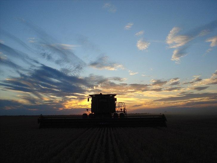 Høst i West Australien 2010..:) billede 12