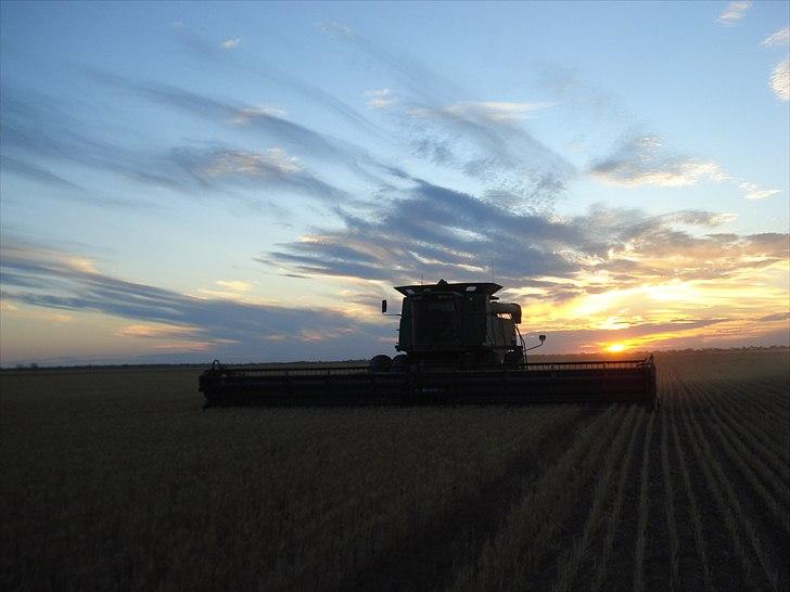 Høst i West Australien 2010..:) billede 13