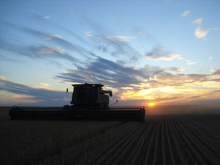 Høst i West Australien 2010..:) billede 14