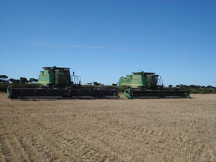 Høst i West Australien 2010..:) billede 15