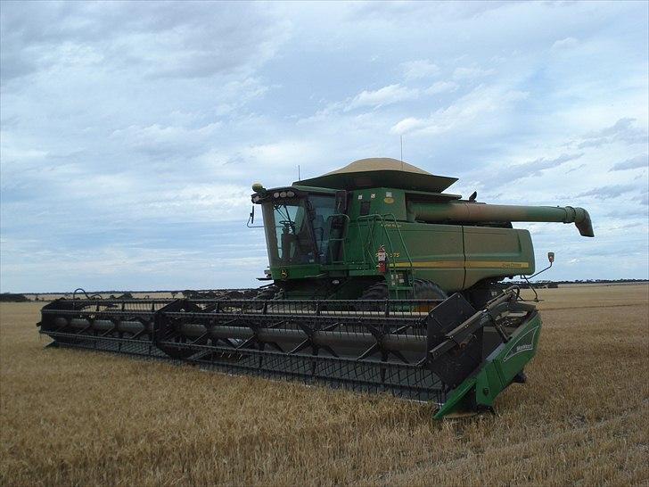 Høst i West Australien 2010..:) billede 16