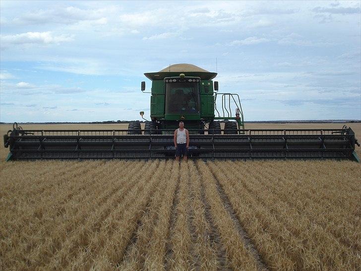 Høst i West Australien 2010..:) billede 17