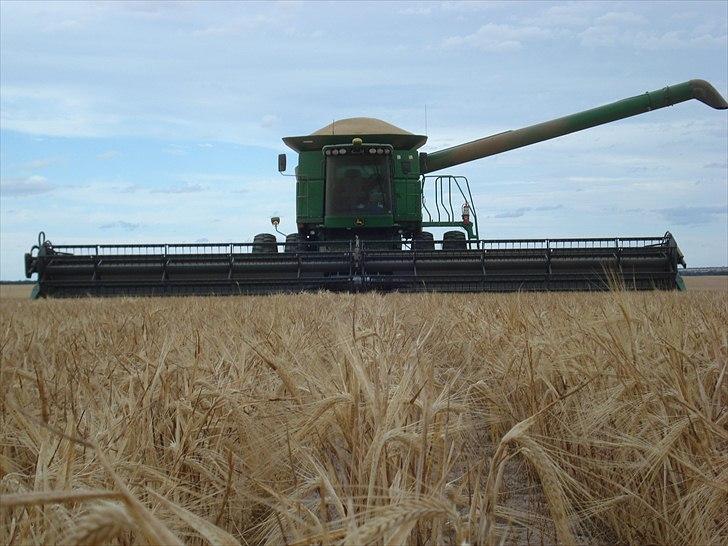 Høst i West Australien 2010..:) billede 18