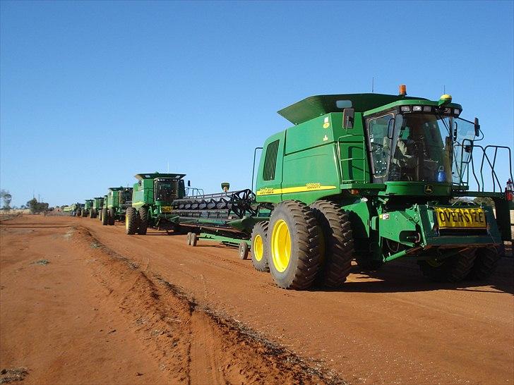 Høst i West Australien 2010..:) billede 21