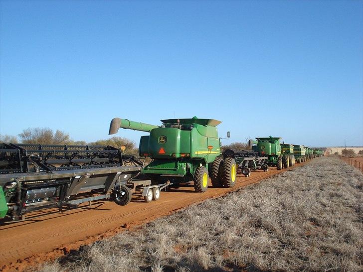 Høst i West Australien 2010..:) billede 22