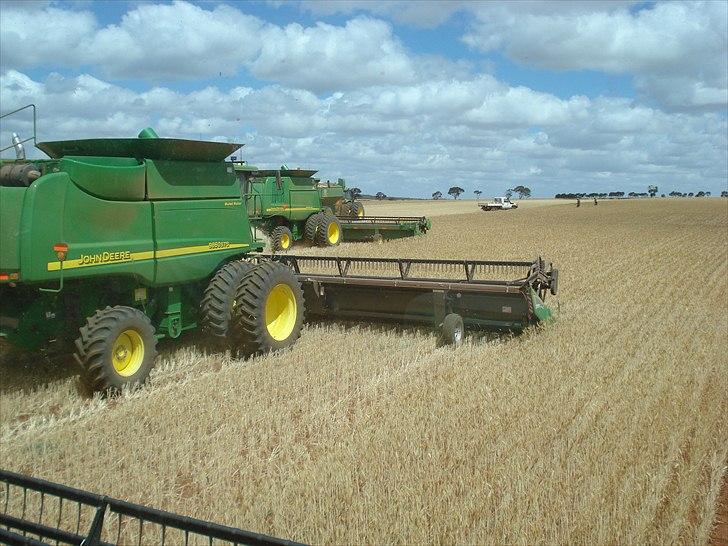 Høst i West Australien 2010..:) billede 23