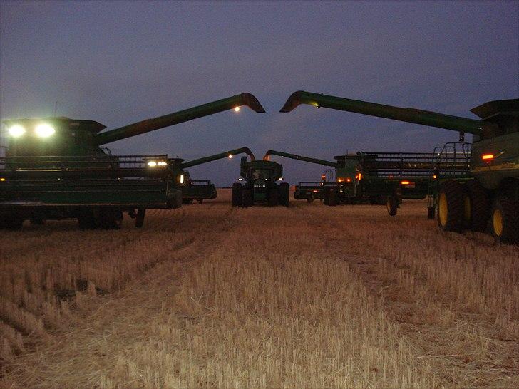 Høst i West Australien 2010..:) billede 24