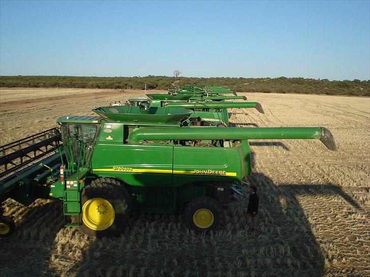 Høst i West Australien 2010..:) billede 27