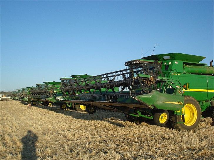 Høst i West Australien 2010..:) billede 28