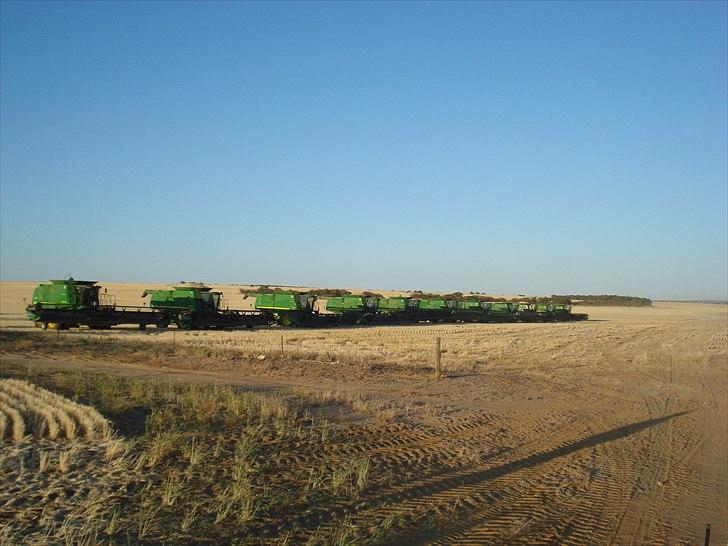 Høst i West Australien 2010..:) billede 30