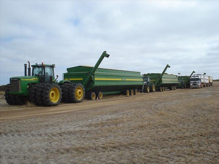 Høst i West Australien 2010..:) billede 36