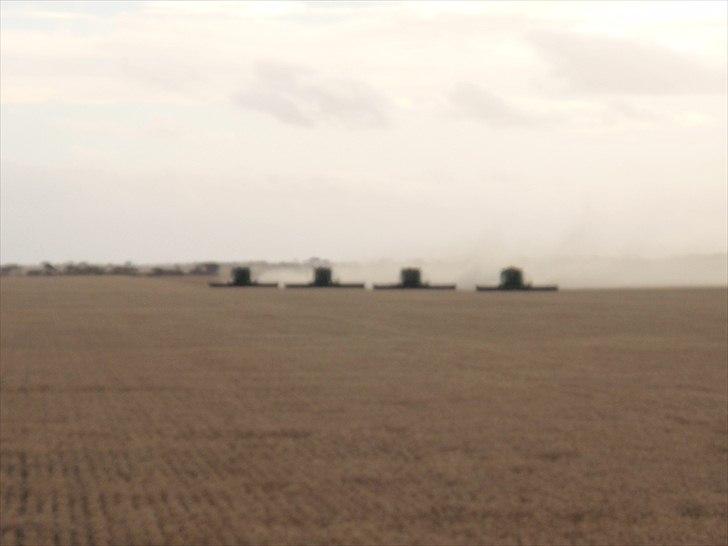 Høst i West Australien 2010..:) billede 37