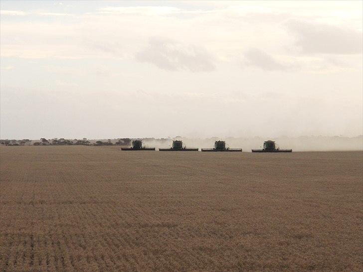 Høst i West Australien 2010..:) billede 38