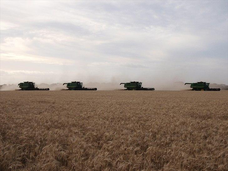 Høst i West Australien 2010..:) billede 39