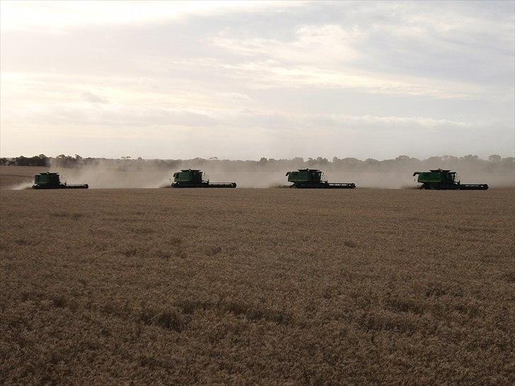 Høst i West Australien 2010..:) billede 40