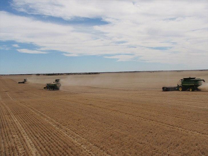 Høst i West Australien 2010..:) billede 41