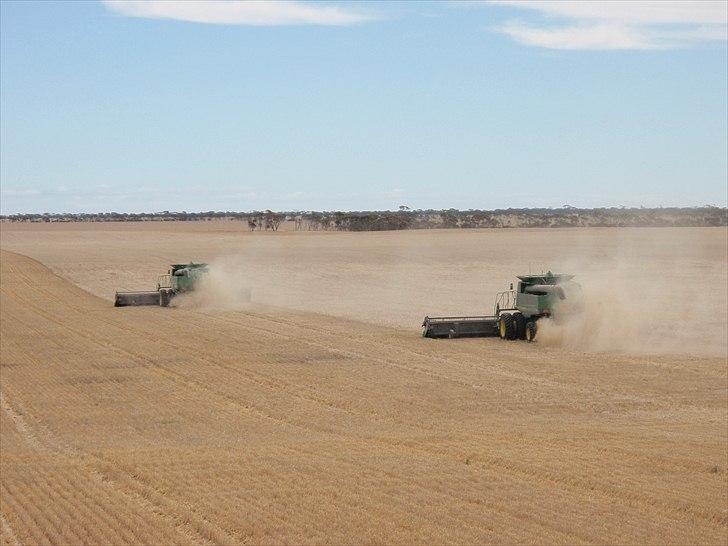 Høst i West Australien 2010..:) billede 42