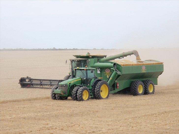 Høst i West Australien 2010..:) billede 43