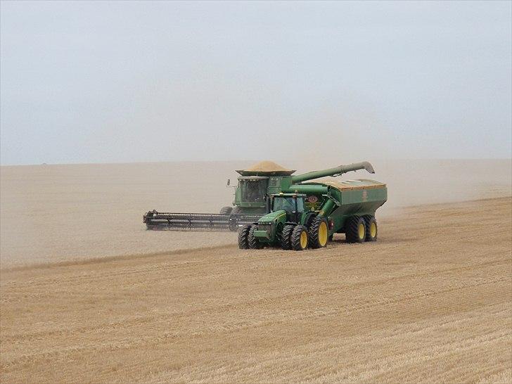 Høst i West Australien 2010..:) billede 44