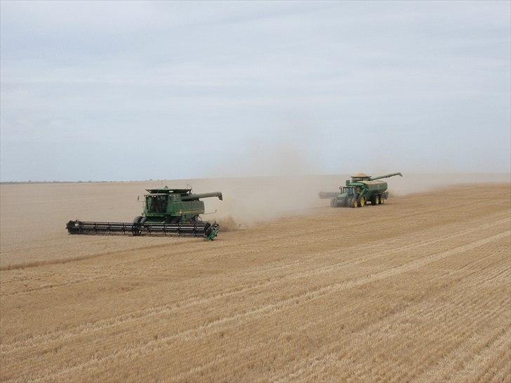 Høst i West Australien 2010..:) billede 45