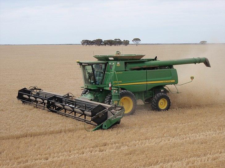 Høst i West Australien 2010..:) billede 46