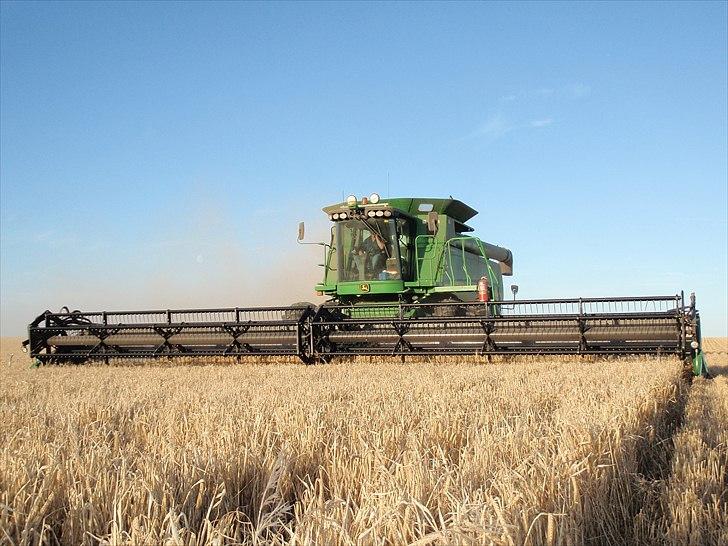 Høst i West Australien 2010..:) billede 50