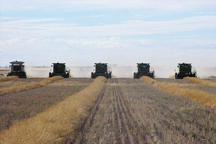 Høst i West Australien 2010..:) billede 53