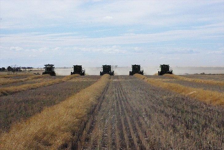 Høst i West Australien 2010..:) billede 54