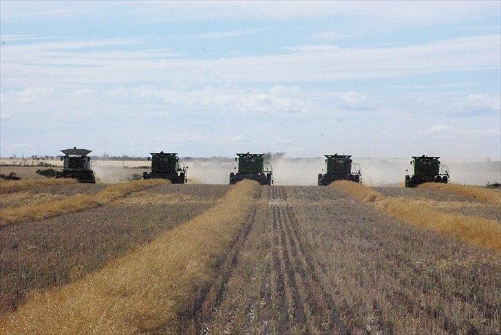 Høst i West Australien 2010..:) billede 55