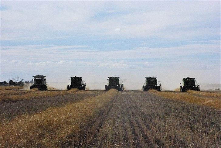 Høst i West Australien 2010..:) billede 56