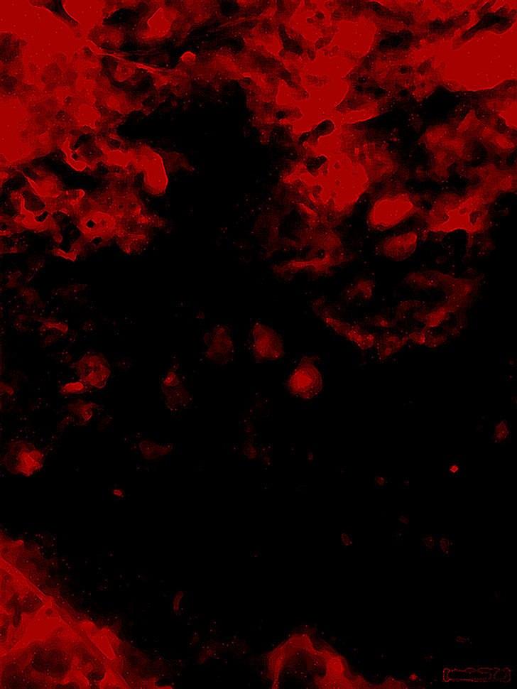 Er det her Mårhund ? - Et billed "Nielsen" har lavet, der tydeligt vise den 5. tå - Ergo en Odder... billede 9