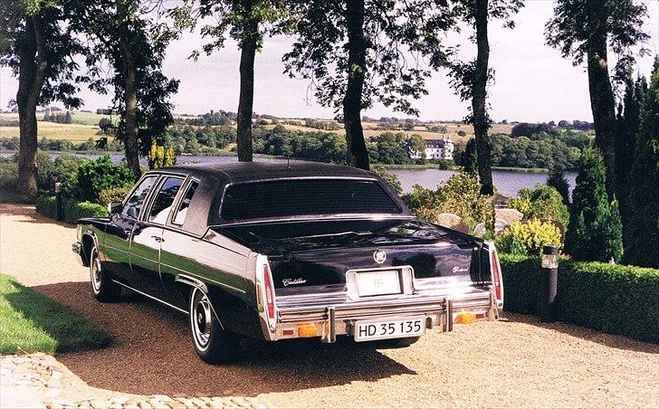 1978 Cadillac Fleetwood Long Sedan Limousine - Med Engelsholm slot i baggrunden billede 15