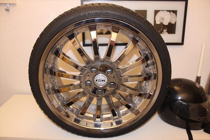 Rial sion 19" Vs. Verde Scorpion    billede 6